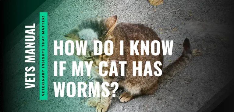 How Do I Know If My Cat Has Worms?
