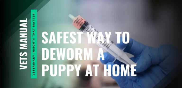 What Is the Safest Way to Deworm a Puppy at Home?