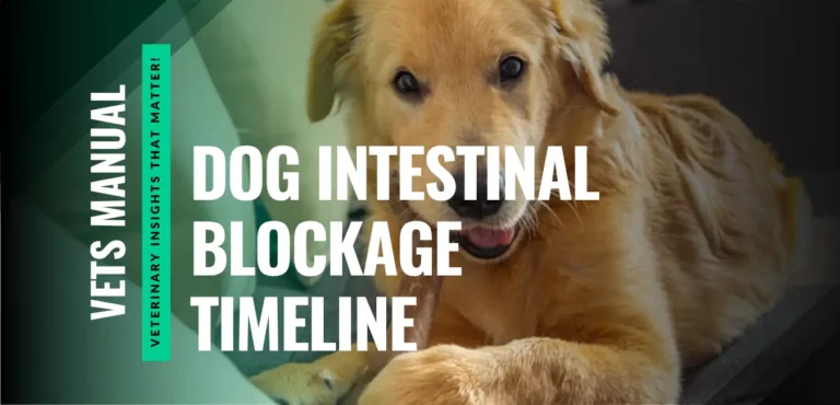 Dog Intestinal Blockage Timeline: Symptoms and Treatment
