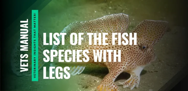 I Studied 15 Fish With Legs: Here is How They Walk