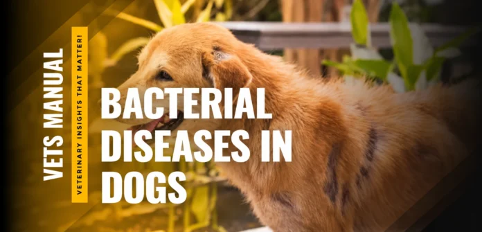 12 Most Common and Life-Threatening Bacterial Diseases in Dogs