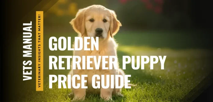 Golden Retriever Puppy Price Guide - Monthly Expenses & Cost