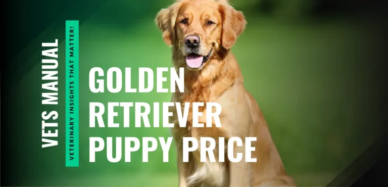 Golden Retriever Puppy Price Guide - Monthly Expense Breakdown