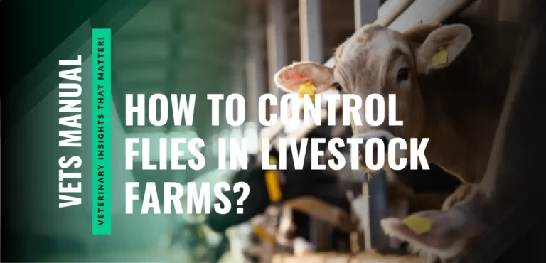 How to Control Flies in Livestock Farms? A Complete Guide