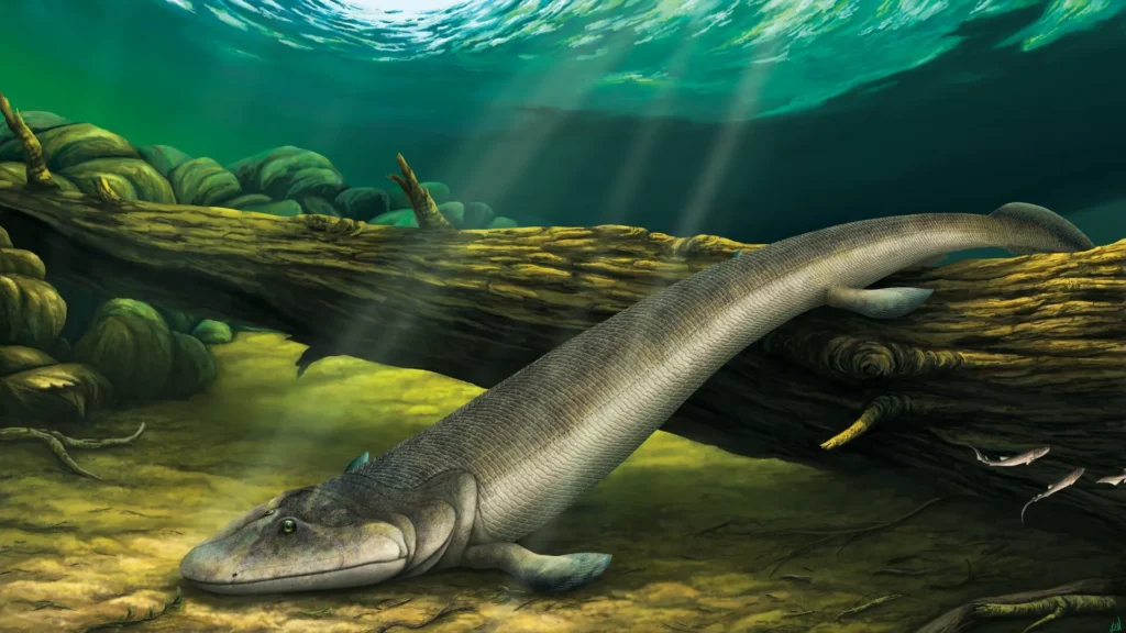 Tiktaalik (The "Fishapod")
