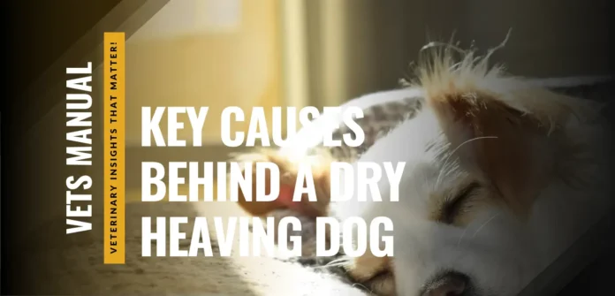 Why is My Dog Dry Heaving? Causes, Symptoms, and Treatment