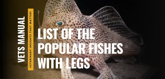 I Studied 15 Fish With Legs: Here is How They Walk