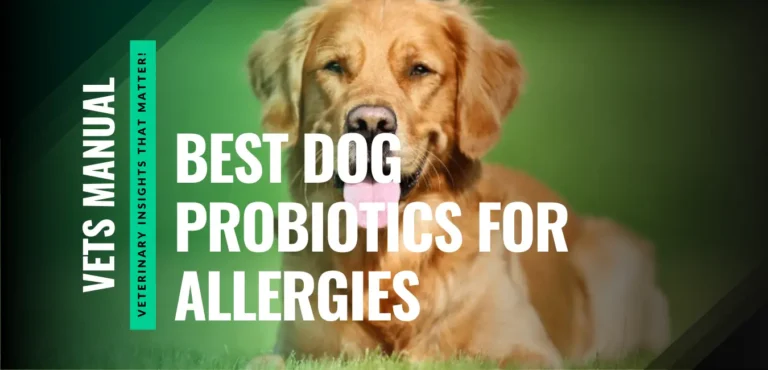 Top 5 Best Dog Probiotics for Allergies in 2026