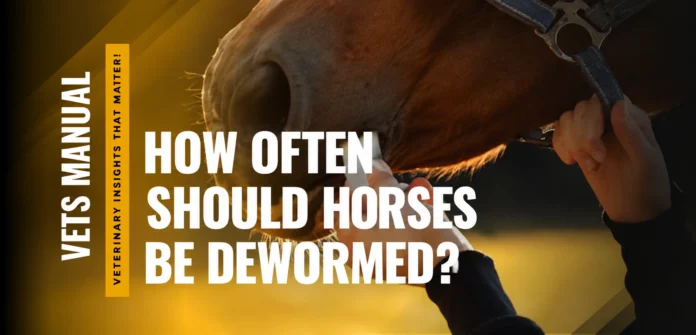 How Often Should Horses Be Dewormed? The 80/20 Rule