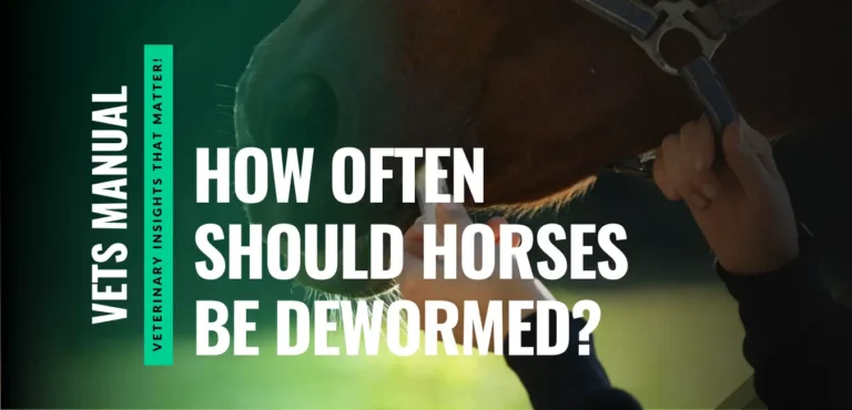 How Often Should Horses Be Dewormed? The 80/20 Rule