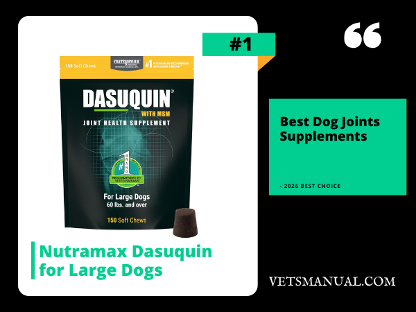 Nutramax Dasuquin for Large Dogs