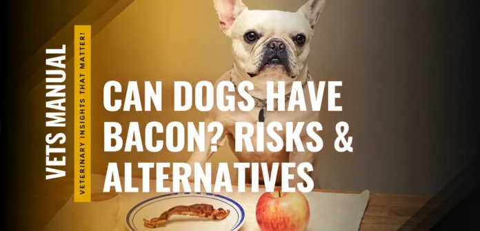 Can Dogs Have Bacon? Risks, Feeding Tips, and Safety