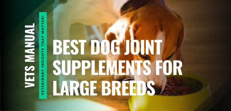 5 Best Dog Joint Supplements for Large Breeds