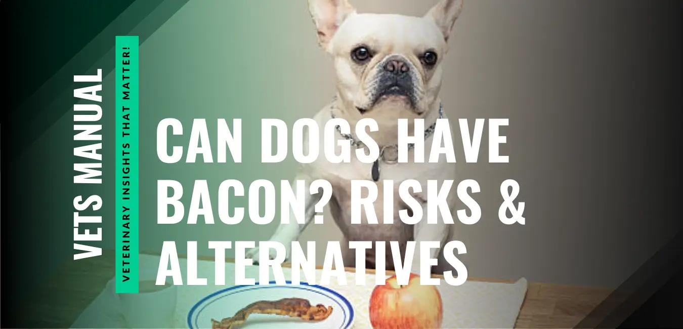Can Dogs Have Bacon? Risks, Healthy Alternatives, and Safe Feeding Tips