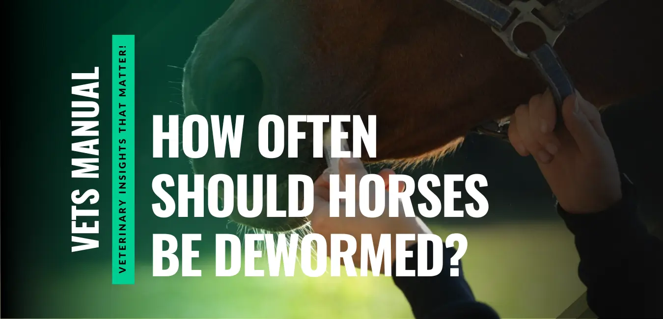 How Often Should Horses Be Dewormed