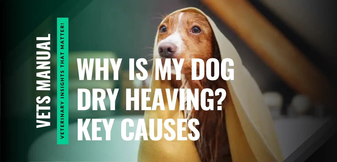 Why is My Dog Dry Heaving? Causes, Symptoms, and Treatment