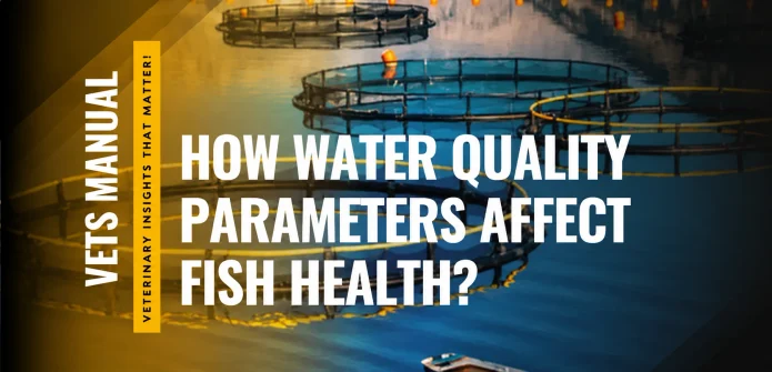 How Water Quality Parameters Affect Fish Health and Immunity?