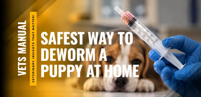 What Is the Safest Way to Deworm a Puppy at Home?