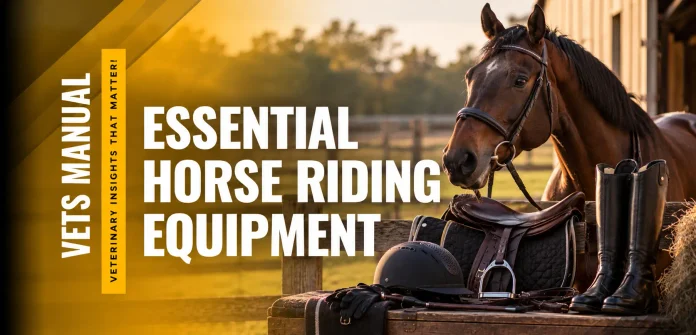 10 Essential Horse Riding Equipment for Every Beginner