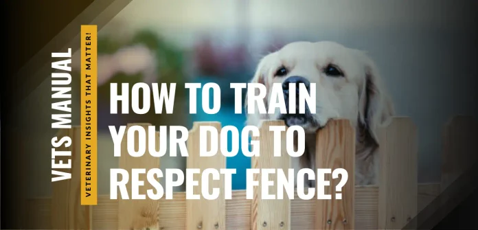 How to Train Your Dog to Respect Fence Boundaries?