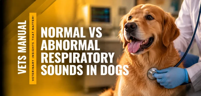 Normal vs Abnormal Respiratory Sounds in Dogs