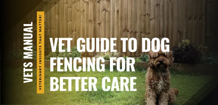 Dog Fencing Guide: Types, Costs, Benefits & How to Setup