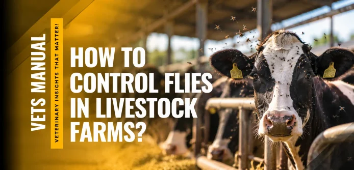 How to Control Flies in Livestock Farms? A Complete Guide